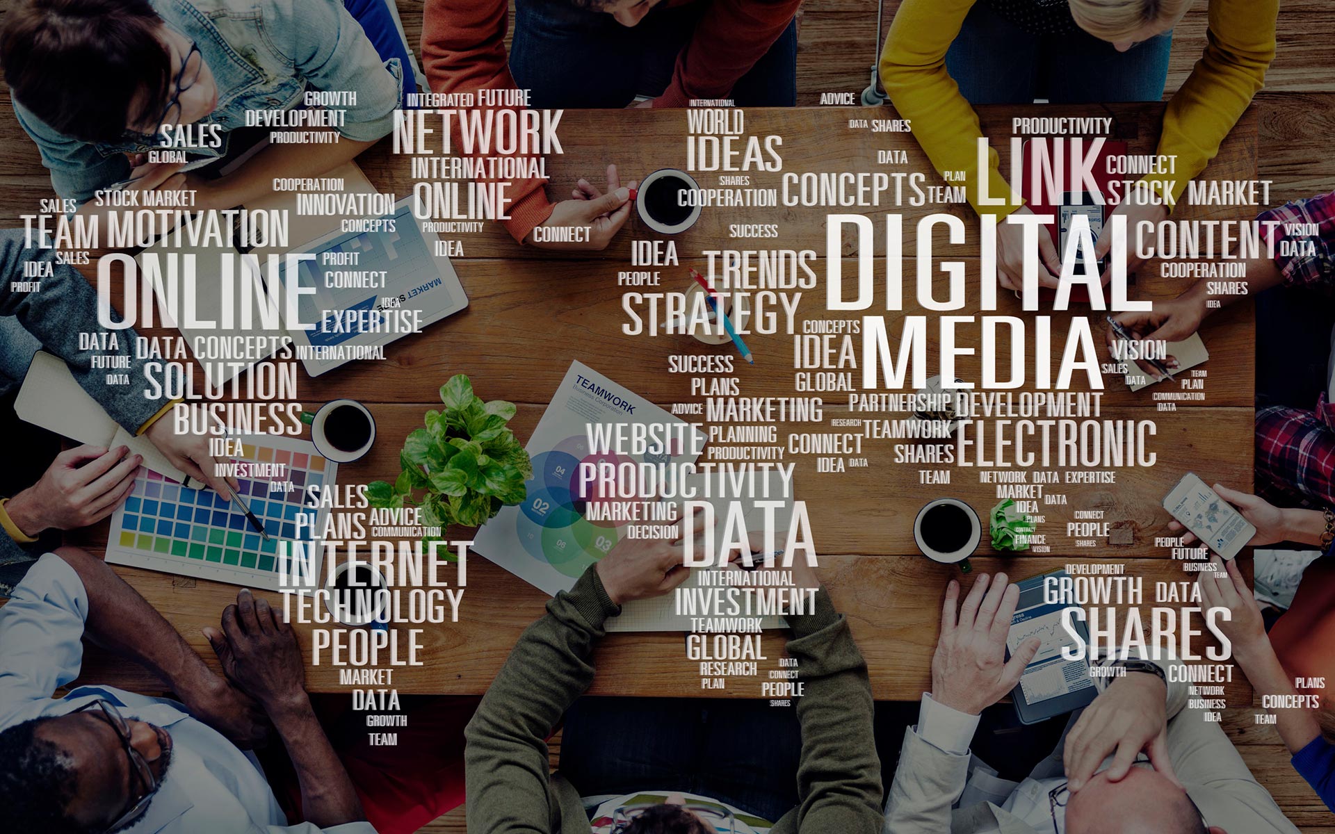 Building Digital Brand